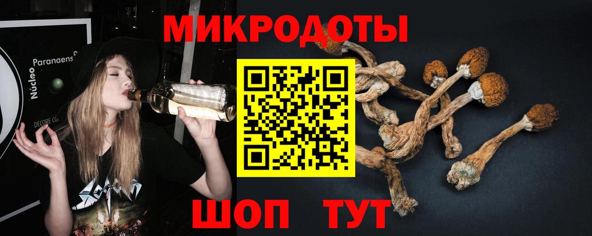Самара  Псилоцибиновые грибы MAGIC MUSHROOMS  Вход с VPN 