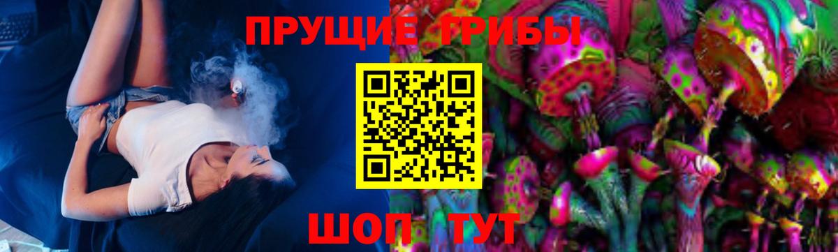 Псилоцибиновые грибы Psilocybe Самара